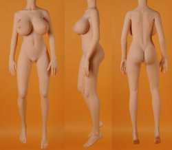 Doll Sweet DS-145 Plus body style (2014) (Body)