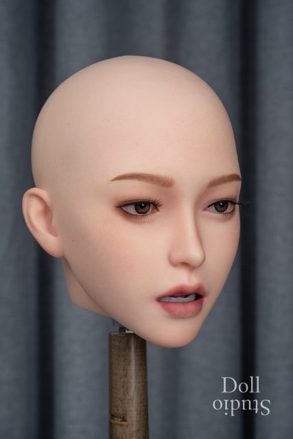 Overview: Zelex Heads With Movable Jaw - Factory Photos (as Of 07/2023 ...