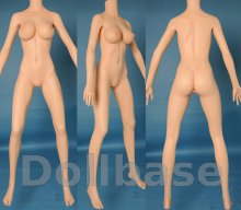 Doll Sweet DS-163 Plus body style (2014) (Body)