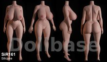 Climax Doll SiR-161/M body style (2024) (Body)