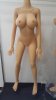 Doll House 168 DH-161 Plus body style (Body)