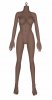 YL Doll YL-141 body style (2020) (Body)