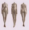 IDO Doll ID-S170/F body style (2025) (Body)